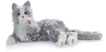 Demenzkatze, Therapie - Katze, Kuschelkatze