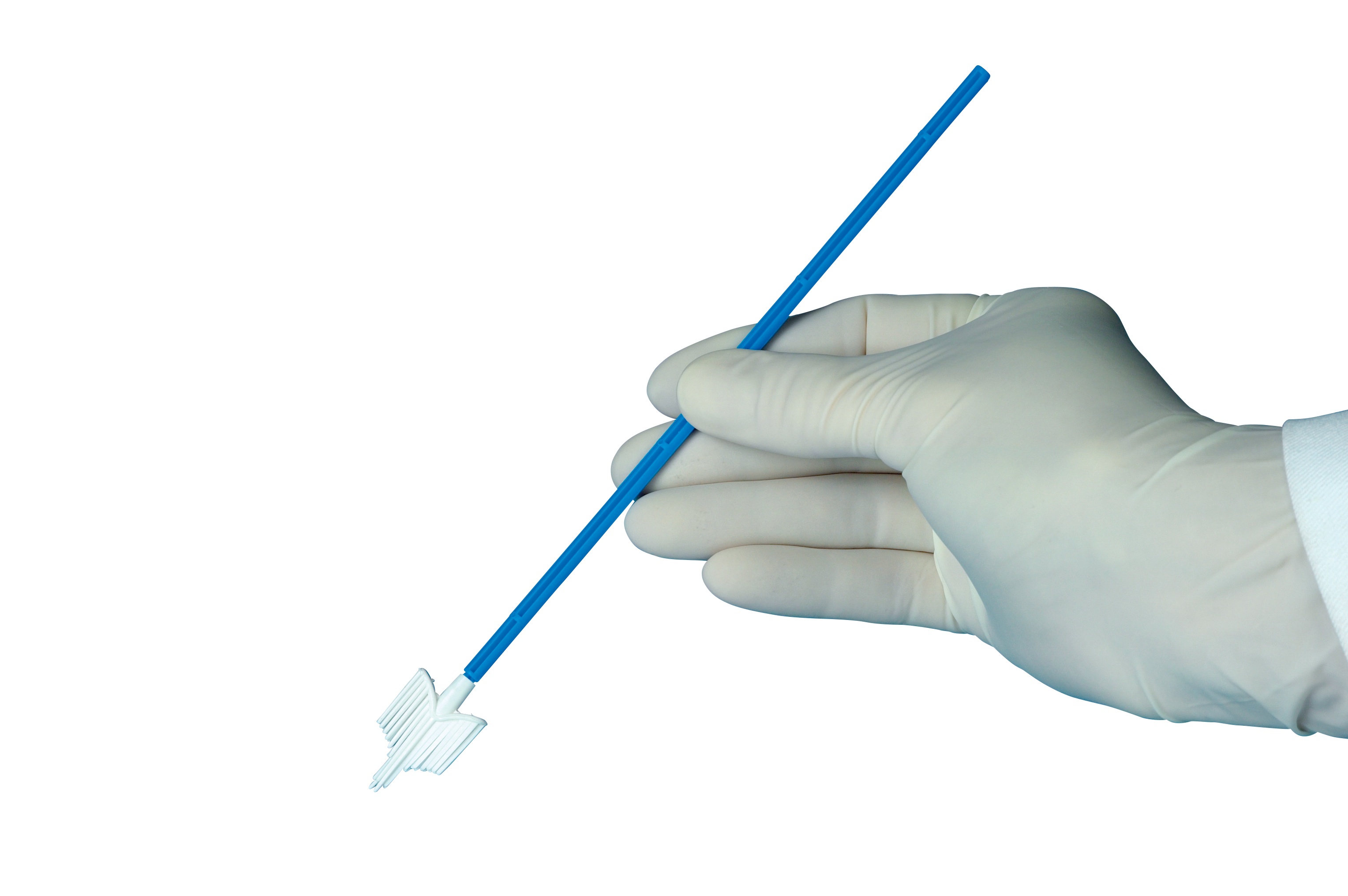 Abstrichbürste CELLTIP, einzeln hygienisch verpackt, Probenbürste, Abnahmebürste