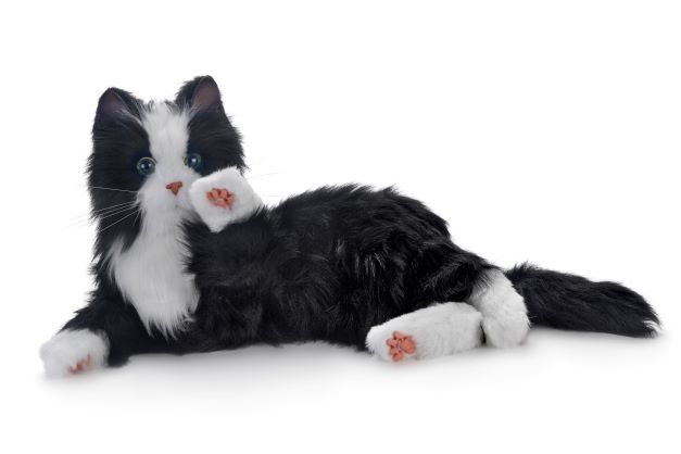 Demenzkatze, Therapie - Katze, Kuschelkatze