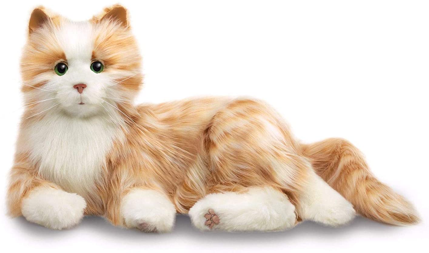 Demenzkatze, Therapie - Katze, Kuschelkatze