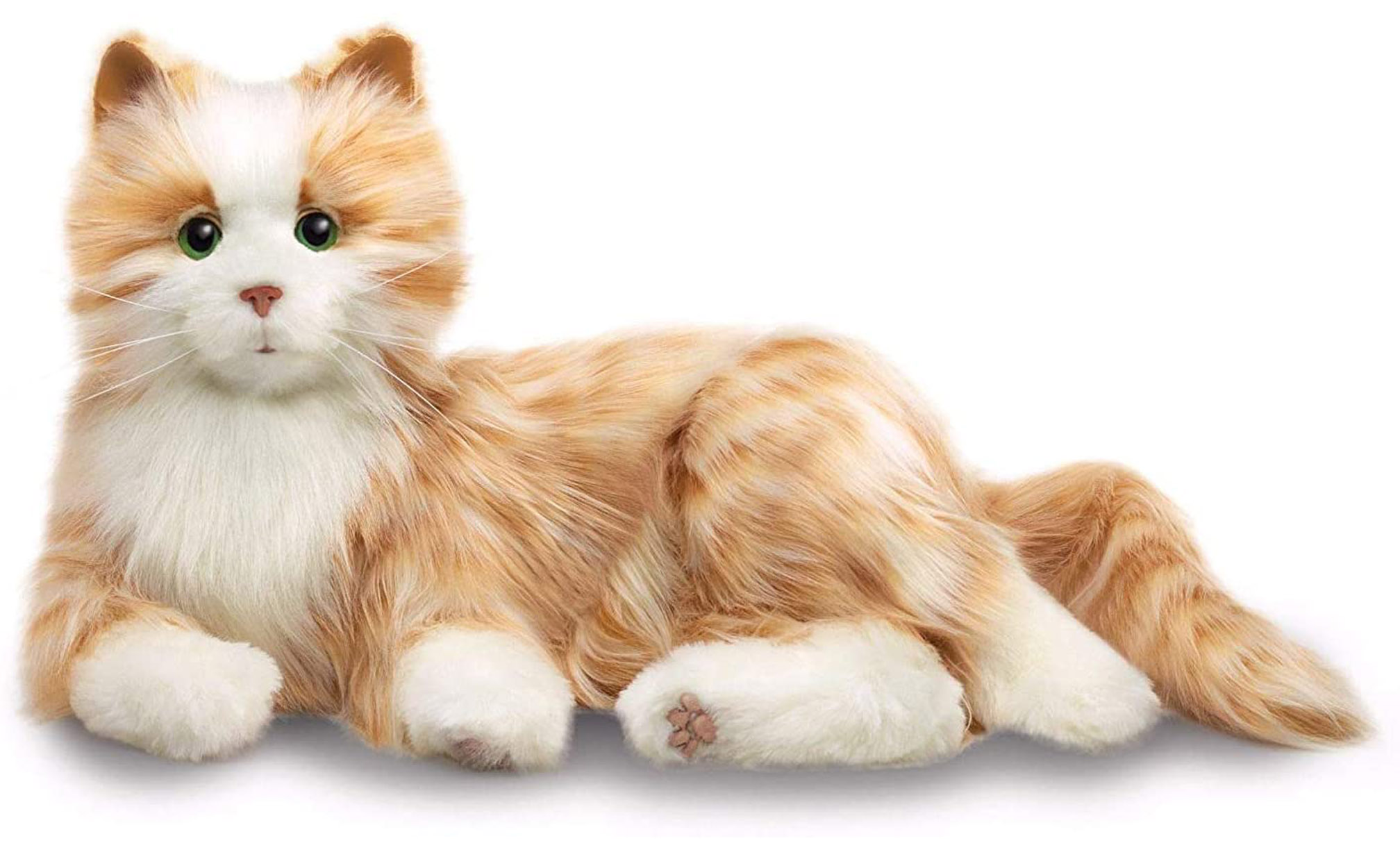 Demenzkatze, Therapie - Katze, Kuschelkatze
