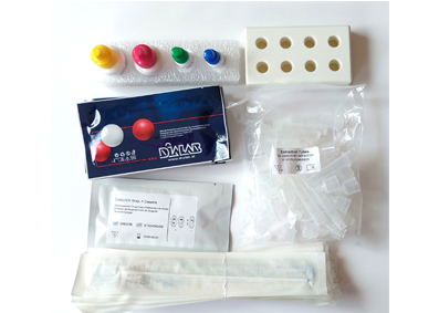 Streptokokken A Test Dialab (ersetzt Cleartest Strep-A-Test), Dialab Streptokokken A Schnelltest