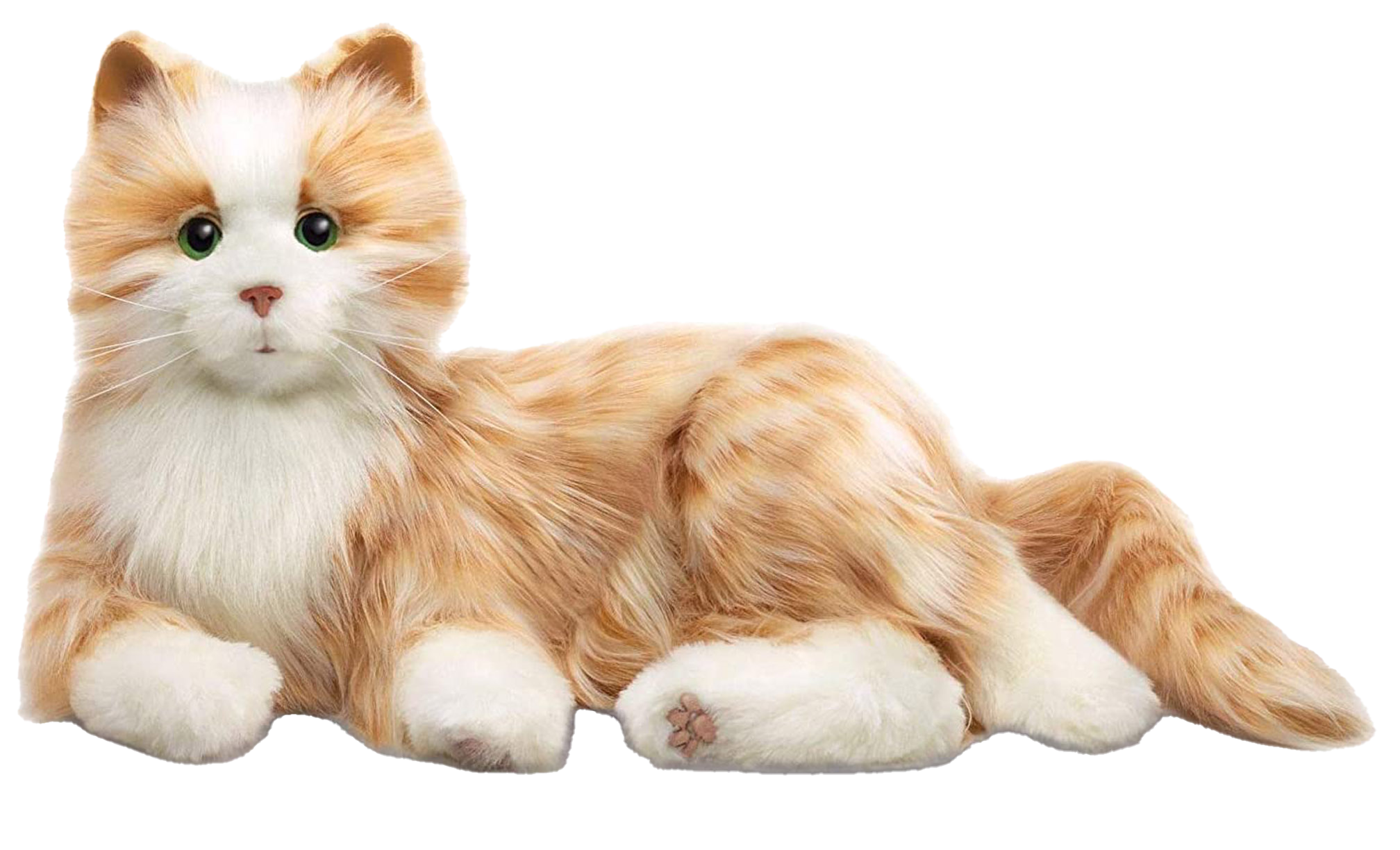 Demenzkatze, Therapie - Katze, Kuschelkatze